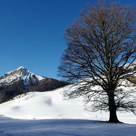 Apartmán Loft Casa Paloma *