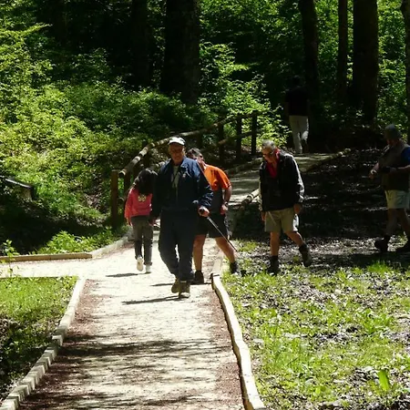 Loft Casa Paloma 公寓 *