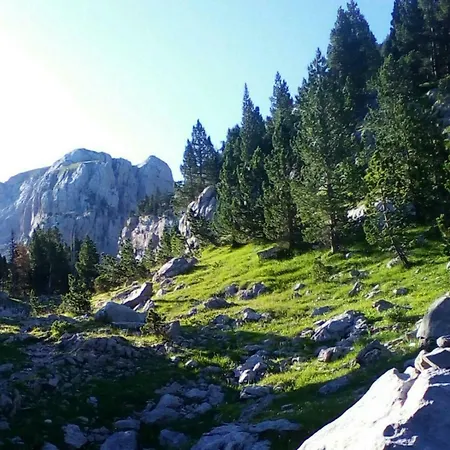 Loft Casa Paloma 公寓