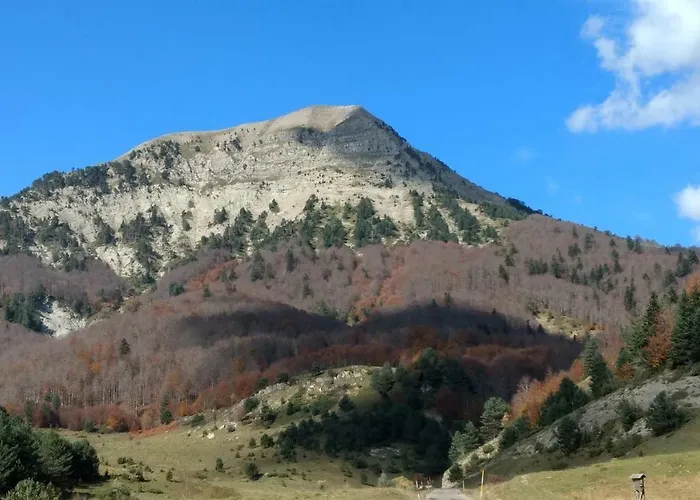 Appartamento Loft Casa Paloma *