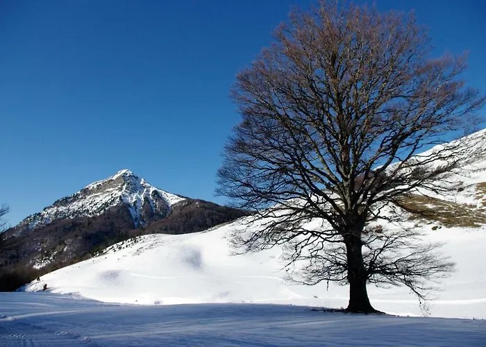 Appartamento Loft Casa Paloma *