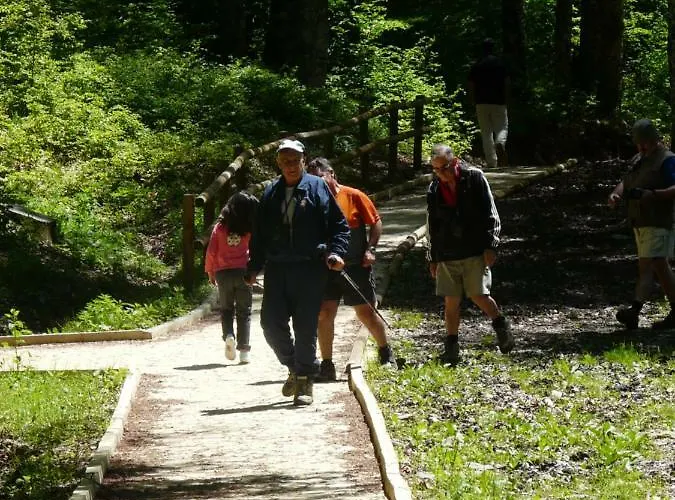 Loft Casa Paloma Appartamento *