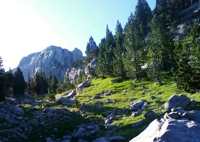 Loft Casa Paloma Appartamento